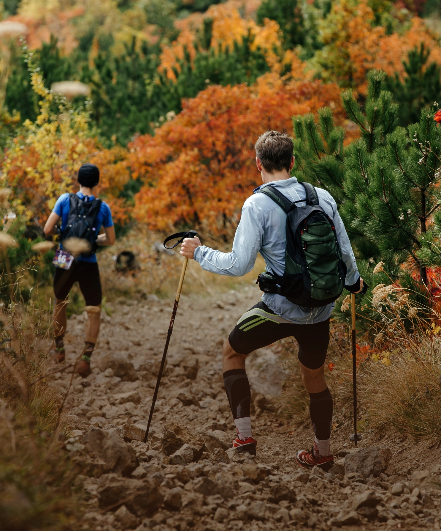 Portfolio case Daylong visuele identiteit